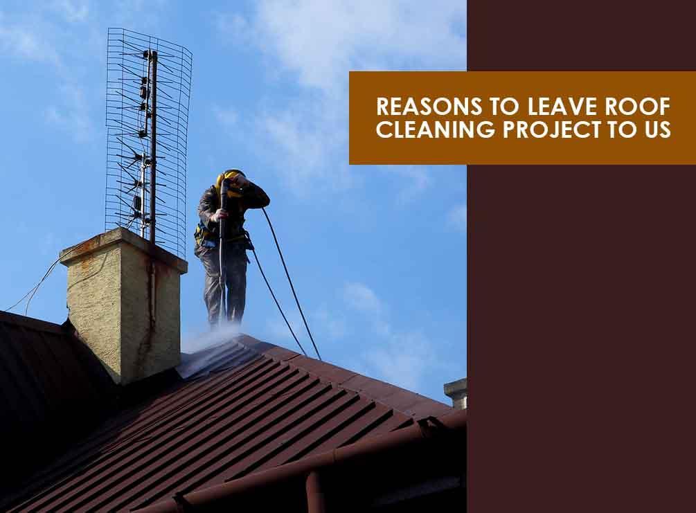 Roof Cleaning