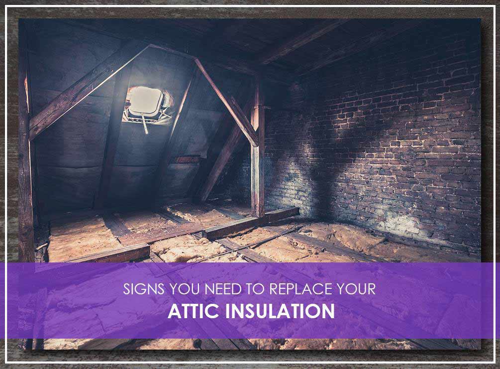 Signs You Need to Replace Your Attic Insulation