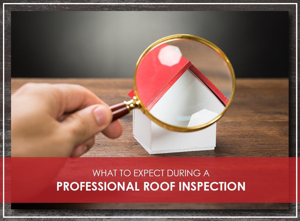 What to Expect During a Professional Roof Inspection