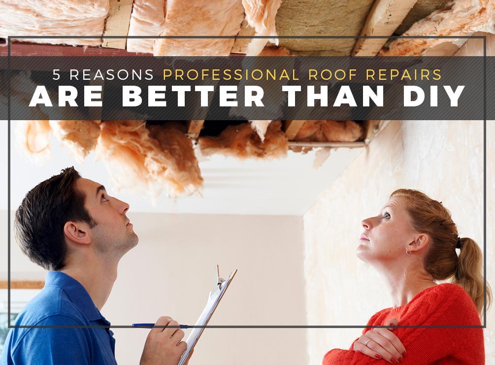 5 Reasons Professional Roof Repairs Are Better Than DIY