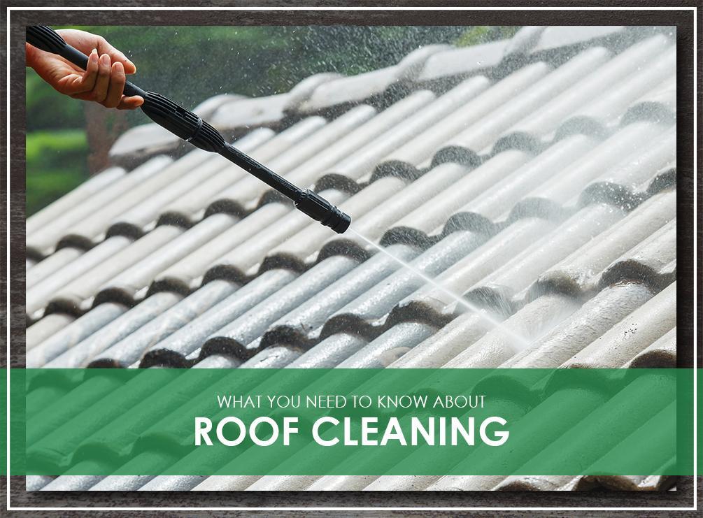 What You Need to Know About Roof Cleaning