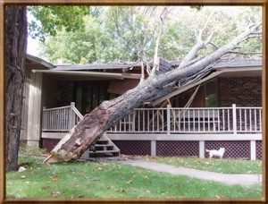 Storm Damage Tarpon Springs FL