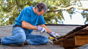 Roof Repair Palm Harbor FL